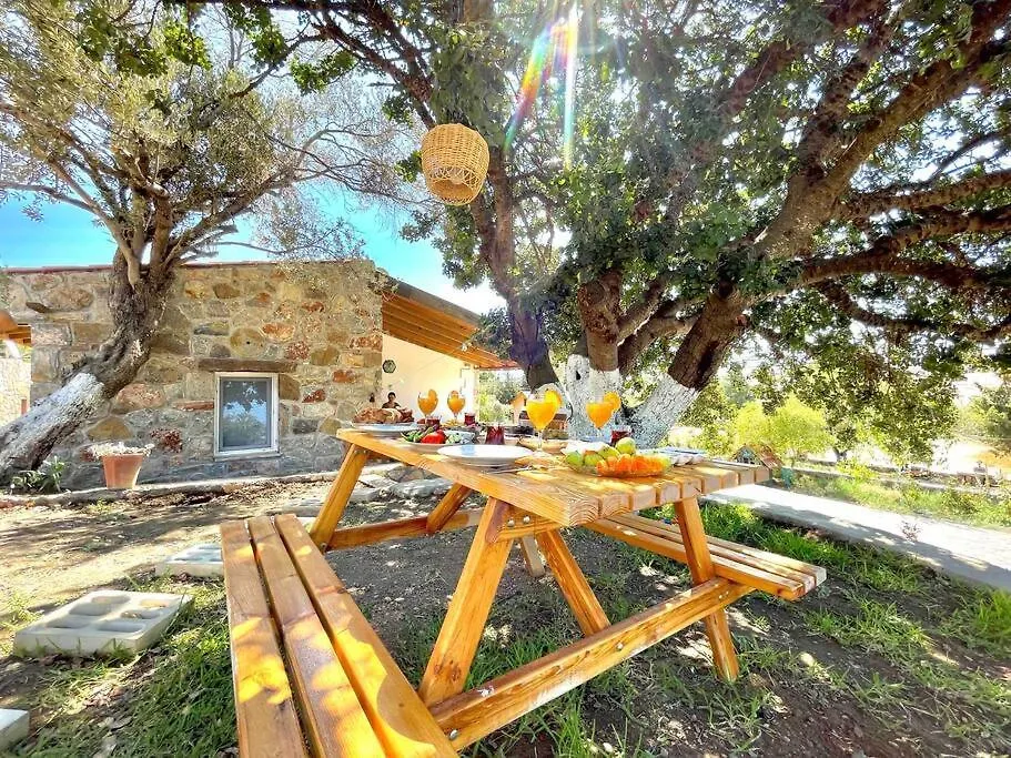 Hébergement de vacances Villa Karaincirevleri Muestakil Tas Ev à Emecik Turquie